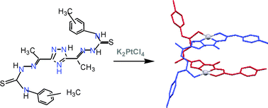 Graphical abstract: Novel bis(thiosemicarbazones) of the 3,5-diacetyl-1,2,4-triazol series and their platinum(ii) complexes: chemistry, antiproliferative activity and preliminary nephrotoxicity studies