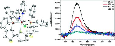 Graphical abstract: Photophysical and electrochemical properties of Ru(ii) complexes containing tridentate bisphosphino-oligothiophene ligands