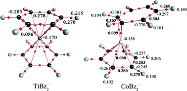 Graphical abstract: Probing the structural and magnetic properties of transition metal-benzene anion complexes