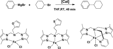 Graphical abstract: Iron(ii) complexes with functionalized amine-pyrazolyl tripodal ligands in the cross-coupling of aryl Grignard with alkyl halides