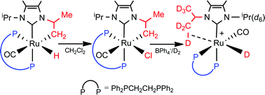 Graphical abstract: Formation and reactivity of the cyclometallated N-heterocyclic carbene complexes [Ru(NHC)′(dppe)(CO)H]