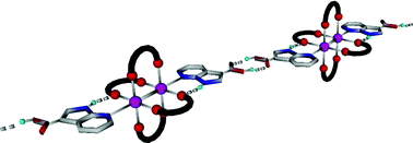 Graphical abstract: From insertion of rhodium acetate paddlewheels into functionalized 7-azaindole hydrogen-bonded dimers to infinite architectures