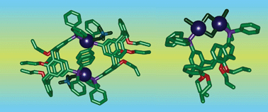 Graphical abstract: Binucleating behaviour of a proximally-diphosphinated calix[4]arene