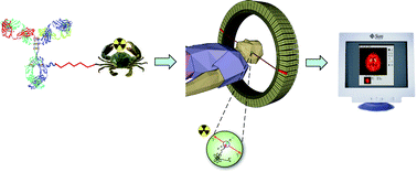 Graphical abstract: Metallic radionuclides in the development of diagnostic and therapeutic radiopharmaceuticals