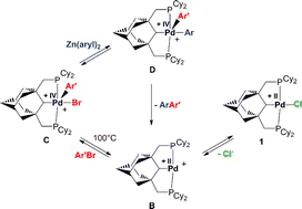 Graphical abstract: Negishi cross-coupling reaction catalyzed by an aliphatic, phosphine based pincer complex of palladium. biaryl formation via cationic pincer-type PdIV intermediates