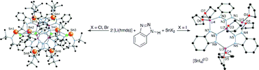 Graphical abstract: Benzotriazolate cage complexes of tin(ii) and lithium: halide-influenced serendipitous assembly