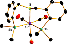 Graphical abstract: Hybrid dibismuthines and distibines as ligands towards transition metal carbonyls