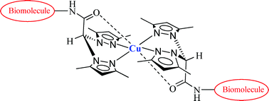 Graphical abstract: Nitroimidazole and glucosamine conjugated heteroscorpionate ligands and related copper(ii) complexes. Syntheses, biological activity and XAS studies