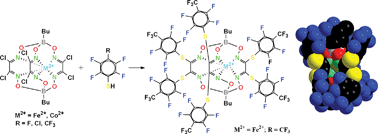 Graphical abstract: Formation of the second superhydrophobic shell around an encapsulated metal ion: synthesis, X-ray structure and electrochemical study of the clathrochelate and bis-clathrochelate iron(ii) and cobalt(ii, iii) dioximates with ribbed perfluoroarylsulfide substituents