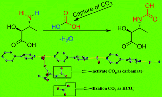 Graphical abstract: Capture and activation of aerial CO2 by carbamoylation of l-threonine in a Ag(i) supramolecular framework