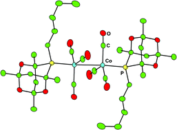 Graphical abstract: Evaluation of ligand effects in the modified cobalt hydroformylation of 1-octene. Crystal structures of [Co(L)(CO)3]2 (L = PA–C5, PCy3 and PCyp3)