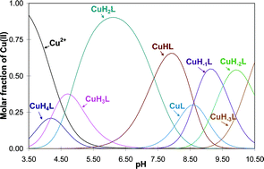 Graphical abstract: Coordination of copper(ii) ions by the fragments of neuropeptide gamma containing D1, H9, H12 residues and products of copper-catalyzed oxidation