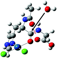 Graphical abstract: Insight into hydrolytic reaction of N-acetylated l-histidylglycine dipeptide with novel mechlorethamine platinum(ii) complex. NMR and DFT study of the hydrolytic reaction