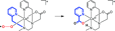 Graphical abstract: Switching on oxygen activation by cobalt complexes of pentadentate ligands