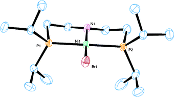 Graphical abstract: Metal complexes of Co, Ni and Cu with the pincer ligand HN(CH2CH2PiPr2)2: preparation, characterization and electrochemistry