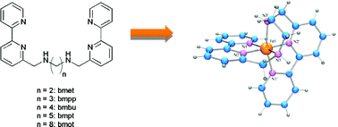 Graphical abstract: Factors influencing mononuclear versus multinuclear coordination in a series of potentially hexadentate acyclic N6 ligands: the roles of flexibility and chelate ring size