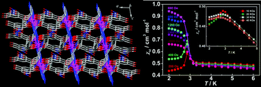 Graphical abstract: A Kagomé layer-based 3D MnII framework showing coexistence of spin-canting, spin-frustration, field-induced metamagnetic and spin-flop transitions