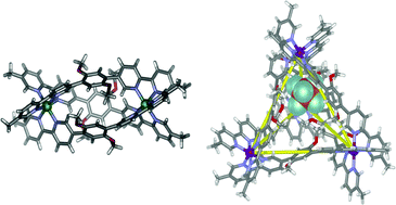 Graphical abstract: New nickel(ii) and iron(ii) helicates and tetrahedra derived from expanded quaterpyridines