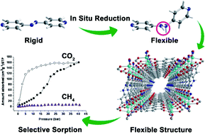 Graphical abstract: Flexible porous coordination polymers constructed from 1,2-bis(4-pyridyl)hydrazinevia solvothermal in situreduction of 4,4′-azopyridine