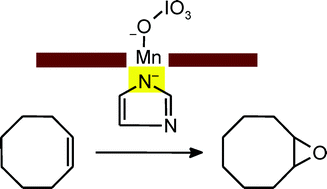Graphical abstract: Water increases rates of epoxidation by Mn(iii)porphyrins/imidazole/IO4− in CH2Cl2. Analogy with peroxidase and chlorite dismutase