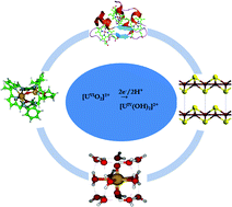 Graphical abstract: The mechanism of the reduction of [AnO2]2+ (An = U, Np, Pu) in aqueous solution, and by Fe(ii) containing proteins and mineral surfaces, probed by DFT calculations