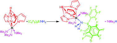 Graphical abstract: Tris(pyrazolyl)borate amidoborane complexes of the group 4 metals