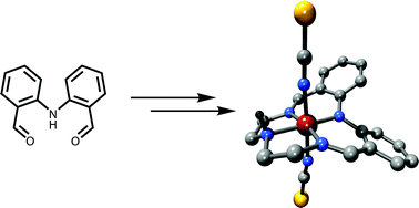 Graphical abstract: Synthesis and complexes of an N4 Schiff-base macrocycle derived from 2,2′-iminobisbenzaldehyde