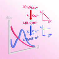 Graphical abstract: Kinetics and mechanism of the reduction of a macrocyclic Rh(iii) complex by chromium(ii) ions: pH-controlled selectivity to rhodium(ii)vs.rhodium(iii) hydride