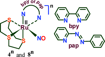 Graphical abstract: Ruthenium nitrosyl complexes with 1,4,7-trithiacyclononane and 2,2′-bipyridine (bpy) or 2-phenylazopyridine (pap) coligands. Electronic structure and reactivity aspects