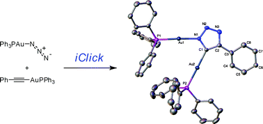 Graphical abstract: 1,3-Dipolar cycloaddition between a metal–azide (Ph3PAuN3) and a metal–acetylide (Ph3PAuC [[triple bond, length as m-dash]] CPh): an inorganic version of a click reaction
