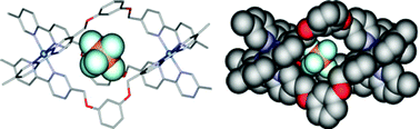 Graphical abstract: Nickel(ii) and iron(ii) triple helicates assembled from expanded quaterpyridines incorporating flexible linkages