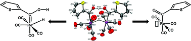 Graphical abstract: Rhenium ethoxy- and hydroxycarbene complexes with thiophene substituents