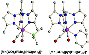 Graphical abstract: The co-ordination chemistry of tris(3,5-dimethylpyrazolyl)methane manganese carbonyl complexes: Synthetic, electrochemical and DFT studies