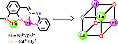 Graphical abstract: Heterometallic cubane-like {M2Ln2} (M = Ni, Zn; Ln =, Gd, Dy) and {Ni2Y2} aggregates. Synthesis, structures and magnetic properties