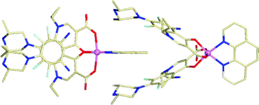 Graphical abstract: Interaction of Zn(ii) with quinolone drugs: Structure and biological evaluation