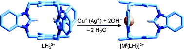 Graphical abstract: The solution stability of copper(i) and silver(i) complexes with N-heterocyclic carbenes