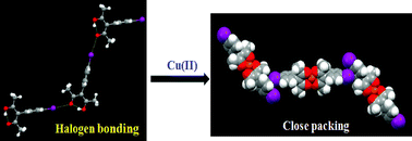 Graphical abstract: Halogen bonding or close packing? Examining the structural landscape in a series of Cu(ii)-acac complexes