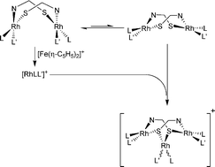 Graphical abstract: The oxidative conversion of the N,S-bridged complexes [{RhLL′(μ-X)}2] to [(RhLL′)3(μ-X)2]+ (X = mt or taz): a comparison with the oxidation of N,N-bridged analogues