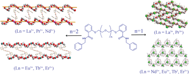 Graphical abstract: Diverse lanthanide coordination polymers tuned by the flexibility of ligands and the lanthanide contraction effect: syntheses, structures and luminescence