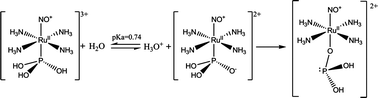 Graphical abstract: Nitrosyl induces phosphorous-acid dissociation in ruthenium(ii)