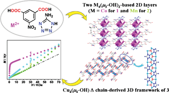 Graphical abstract: CoII, MnII and CuII-directed coordination polymers with mixed tetrazolate–dicarboxylate heterobridges exhibiting spin-canted, spin-frustrated antiferromagnetism and a slight spin-flop transition