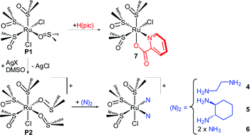 Graphical abstract: New half sandwich-type Ru(ii) coordination compounds characterized by the fac-Ru(dmso-S)3 fragment: influence of the face-capping group on the chemical behavior and in vitro anticancer activity