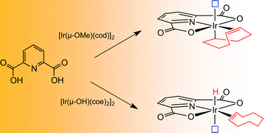 Graphical abstract: Unsaturated iridium pyridinedicarboxylate pincer complexes with catalytic activity in borylation of arenes