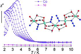 Graphical abstract: Isomorphous Co(ii) and Ni(ii) antiferromagnets based on mixed azide- and carboxylate-bridged chains: metamagnetism and single-chain dynamics