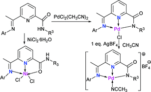 Graphical abstract: 2-(N-Alkylcarboxamide)-6-iminopyridyl palladium and nickel complexes: coordination chemistry and catalysis