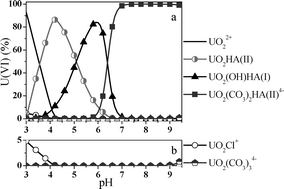 Graphical abstract: Binary and ternary uranium(vi) humate complexes studied by attenuated total reflection Fourier-transform infrared spectroscopy