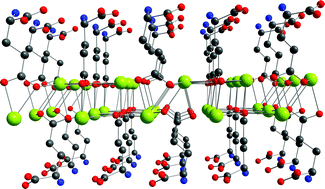 Graphical abstract: Anhydrous thallium hydrogen l-glutamate: polymer networks formed by sandwich layers of oxygen-coordinated thallium ions cores shielded by hydrogen l-glutamate counterions