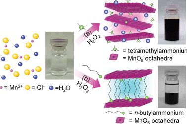 Graphical abstract: Preparation and formation mechanism of a n-butylammonium/MnO2 layered hybrid via a one-pot synthesis under moderate conditions