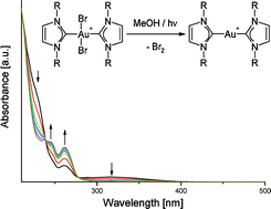 Graphical abstract: Syntheses, crystal structures, reactivity, and photochemistry of gold(iii) bromides bearing N-heterocyclic carbenes