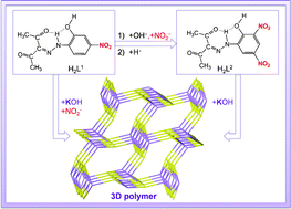 Graphical abstract: Unusual shift of a nitro group in a phenylhydrazo-β-diketone